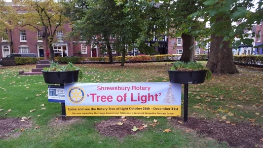 Organisers declare Tree of Light Appeal "Outstanding Success"
